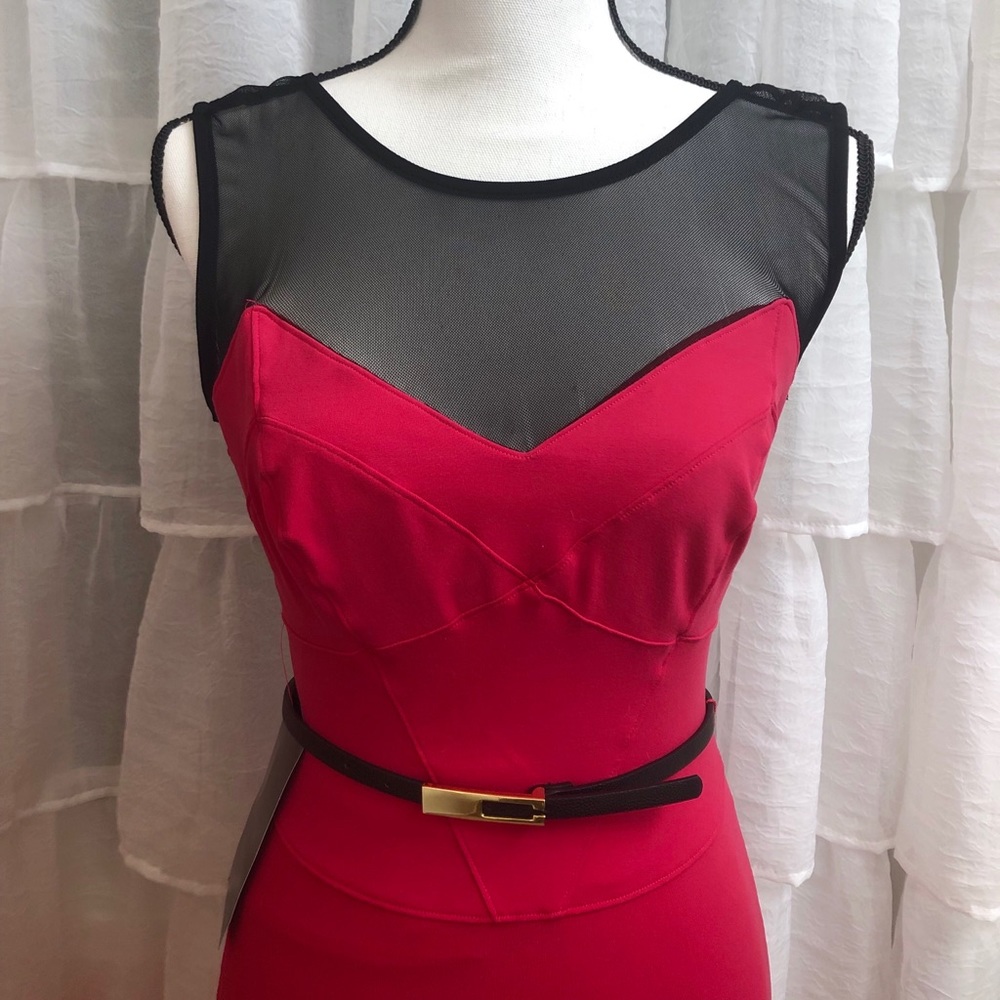 Bebe Pink Sheer Bodycon Dress